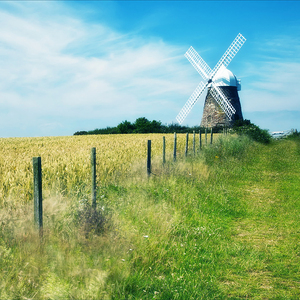 东北光头爆乳女王
